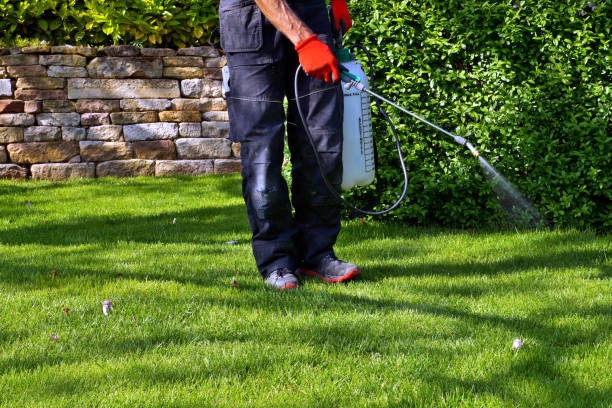 Best Bee and Wasp Removal  in Dellwood, MN